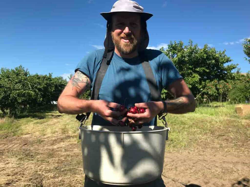 man holding fresh picked cherries