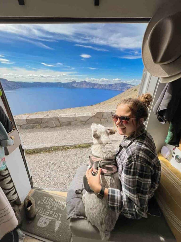 girl with dog looking out of campervan