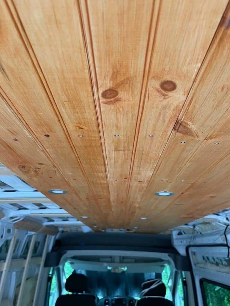Promaster Lita ceiling and lights 720