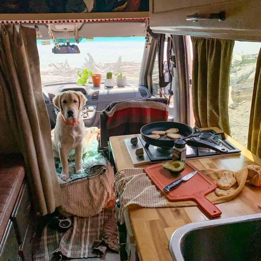 Cooking in a van kitchen with a dog looking on from the cab